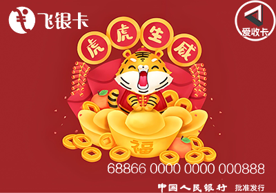 飞银彩虹卡1209-3.png