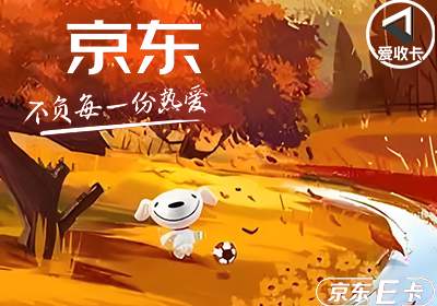京东卡0604-8.png